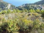 Eze, 